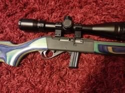 Anschütz 525 22 LR Long rifle