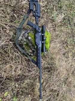 ATA Arms ALR 308win