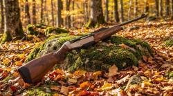 Benelli Argo 9.3/62