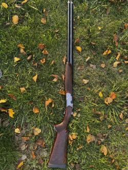 Beretta 694 Sporting