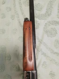 МЦ21-12