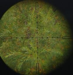 Прицел Night Force NXS 5.5 -22 x 56