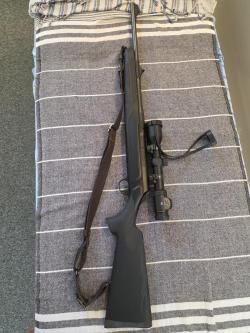 Sauer 303