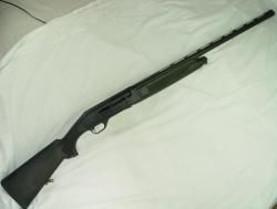 Stoeger 2000