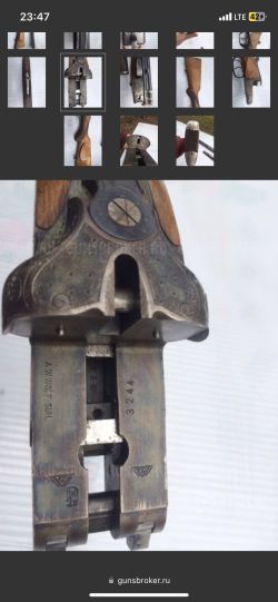 Wolf 1946 г